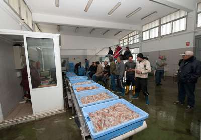 La Cofradía de pescadores, ante la reducción de las capturas, suspende la subasta en la lonja