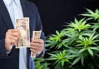 Invertir en Cannabis, la mejor manera de ganar dinero a través de los Grow Shops