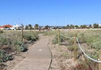Sagunto protege los entornos dunares del litoral del municipio con la instalación de 1.415 talanqueras