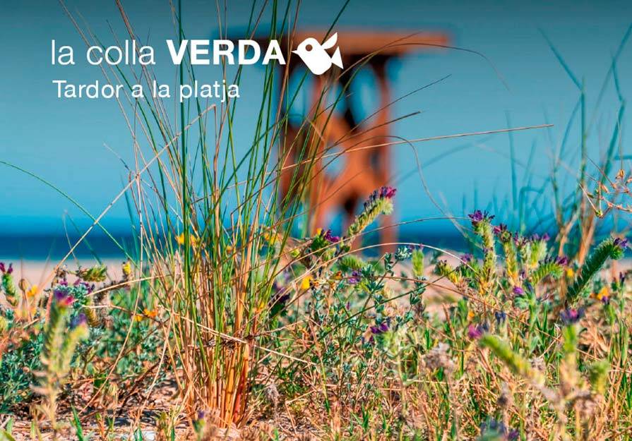 La Colla Verda organiza tres jornadas de plantación en las dunas de Puerto de Sagunto