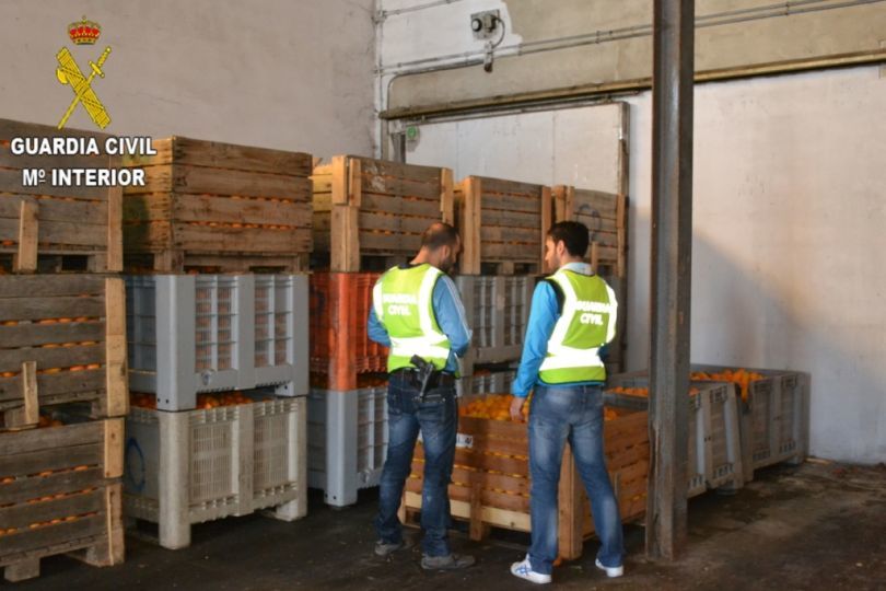 La Guardia Civil detiene a 8 personas por su implicación en la sustracción de 120 toneladas de naranjas en Camp del Turia y Camp de Morvedre