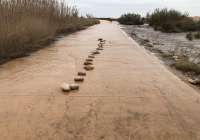 Usuarios del sendero azul colocan una hilera de piedras para poder cruzar sin mojarse los pies