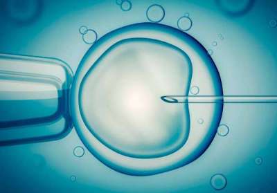 Los tratamientos de fecundación impulsan en España la demanda de especialistas en fertilidad
