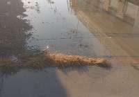 El PP denuncia la falta de inversiones en Almardà para evitar inundaciones durante los temporales