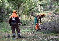 Las brigadas forestales de la Diputación retoman sus trabajos de silvicultura para prevenir incendios
