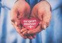 España revalida su liderazgo mundial en donación de órganos y aporta el 20% de los donantes de la UE y el 6% del mundo