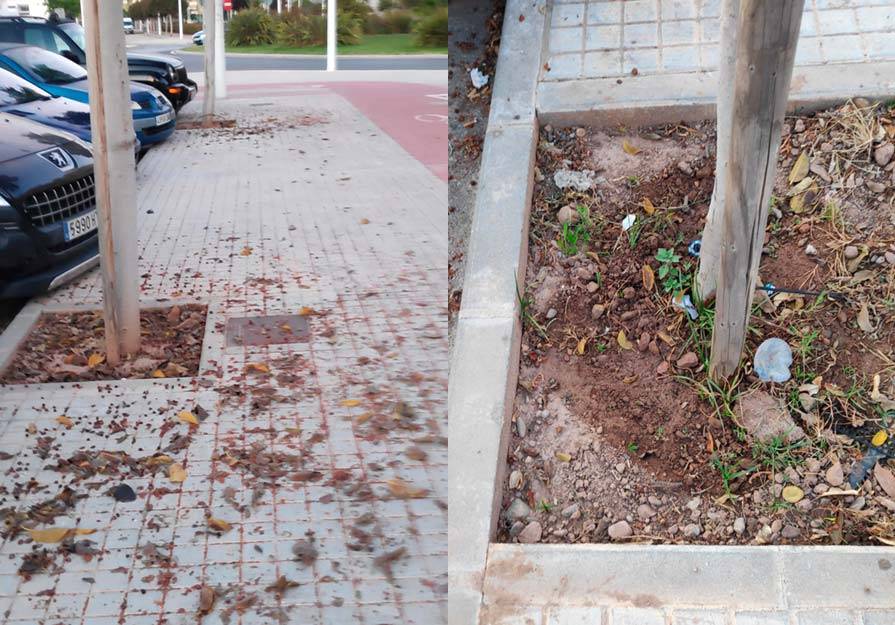 La falta de limpieza y la escasez de riego de la vegetación ha enfadado a los vecinos del bulevar de Alcalá Galiano