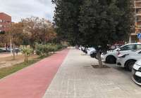 Las copas de los árboles de Alcalá Galiano dificultan andar por la acera