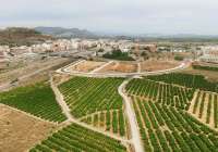Imagen aérea de una zona de cultivo del municipio de Sagunto