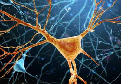 Unas 700 personas comienzan a desarrollar la esclerosis lateral amiotrófica en España cada año