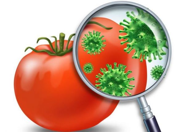 Sanidad detecta 20 brotes de toxiinfección alimentaria en el primer semestre del año