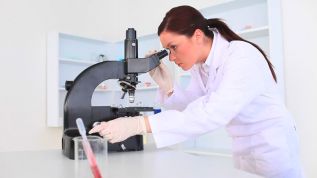 Investigadores logran conocer el proceso de diseminación de los melanomas para intentar encontrar una posible diana farmacológica
