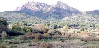 La Generalitat y Red Eléctrica reforestarán el bosque calcinado de Albalat dels Tarongers