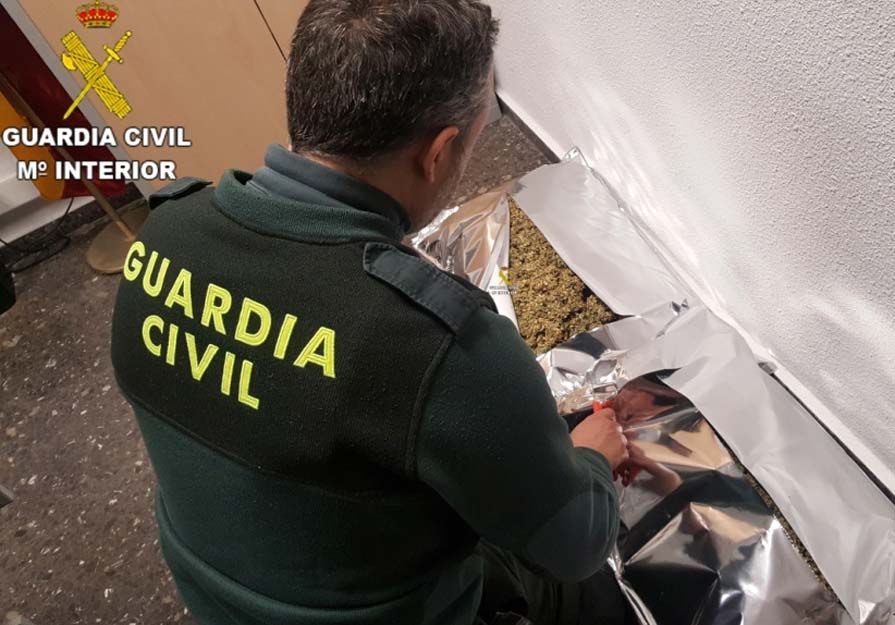 Un agente de la Guardia Civil, examinando el la marihuana capturada