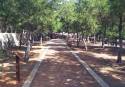 Imagen de este paseo que se encuentra dentro del parque de La Rodana