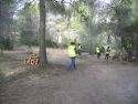 Sagunto solicita dos brigadas a Diputación para evitar incendios forestales