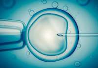 Cómo manejar la incertidumbre durante la espera en un proceso de reproducción asistida