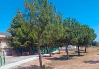 Sagunto mejora el CEIP La Pinaeta con un nuevo espacio verde y de sombraje en el patio del colegio