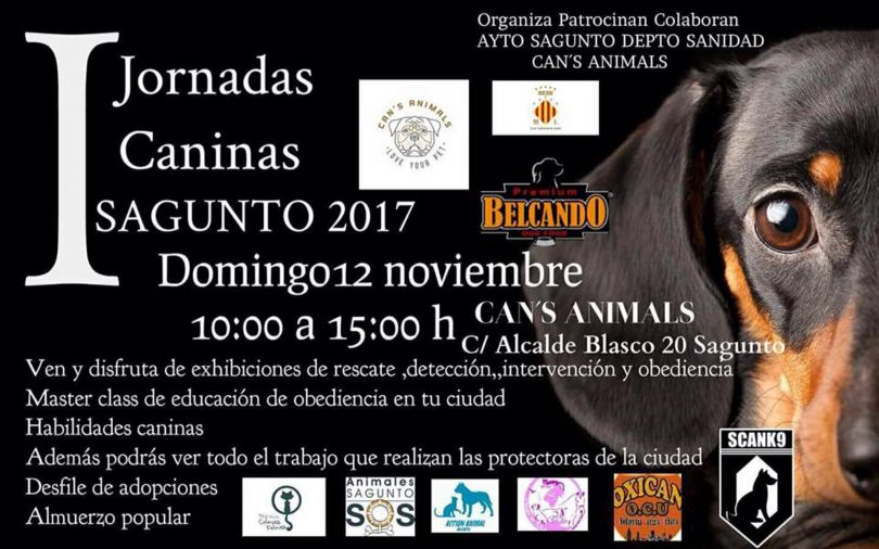 La ciudad de Sagunto celebrará este domingo sus I Jornadas Caninas