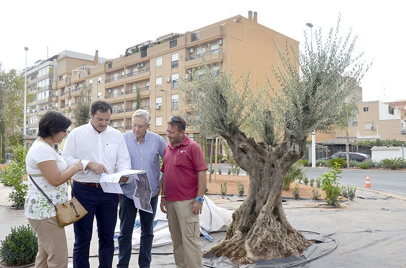 El Ayuntamiento de Sagunto finaliza el ajardinamiento de la rotonda de la calle Churruca
