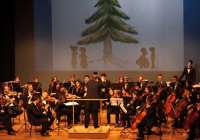 La Orquesta Sinfónica de la Lira Saguntina en uno de sus conciertos (Imagen de archivo)