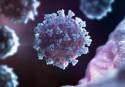 La Fundación Española Fisabio contribuye a rastrear la evolución genética del coronavirus