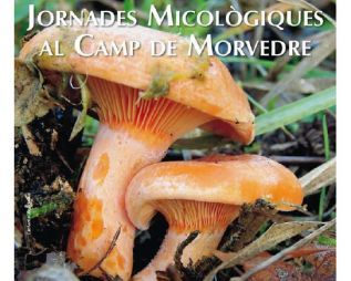 Sagunto acogerá las XVIII Jornadas Micológicas del Camp de Morvedre del 31 de octubre al 7 de noviembre