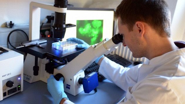 El Centro Príncipe Felipe publica un estudio sobre el cáncer que abre una nueva vía en la búsqueda de fármacos antitumorales
