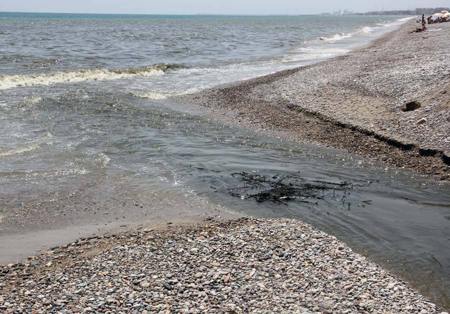 El agua que sale de la Gola de Quartell arrastra restos vegetales que desembocan en el mar