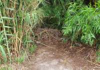Vila denuncia que, pasados quince días de las inundaciones, todavía hay algunos caminos agrícolas impracticables
