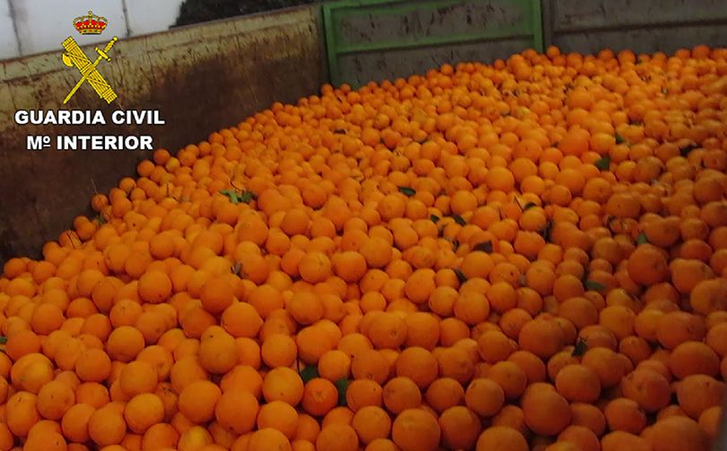 La Guardia Civil investiga a 6 personas por delitos relacionados con la sustracción y venta ilícita de naranjas