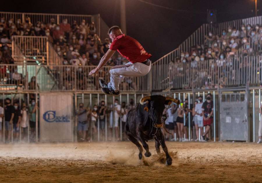 Los espectáculos taurinos volverán a ser los protagonistas de algunas de las jornadas festivas (Foto: Roberto Martínez)