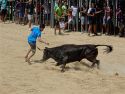 Uno de los festejos taurinos que han tenido lugar esta semana en el recinto ferial de Sagunto (Foto: Carmen Guillén)