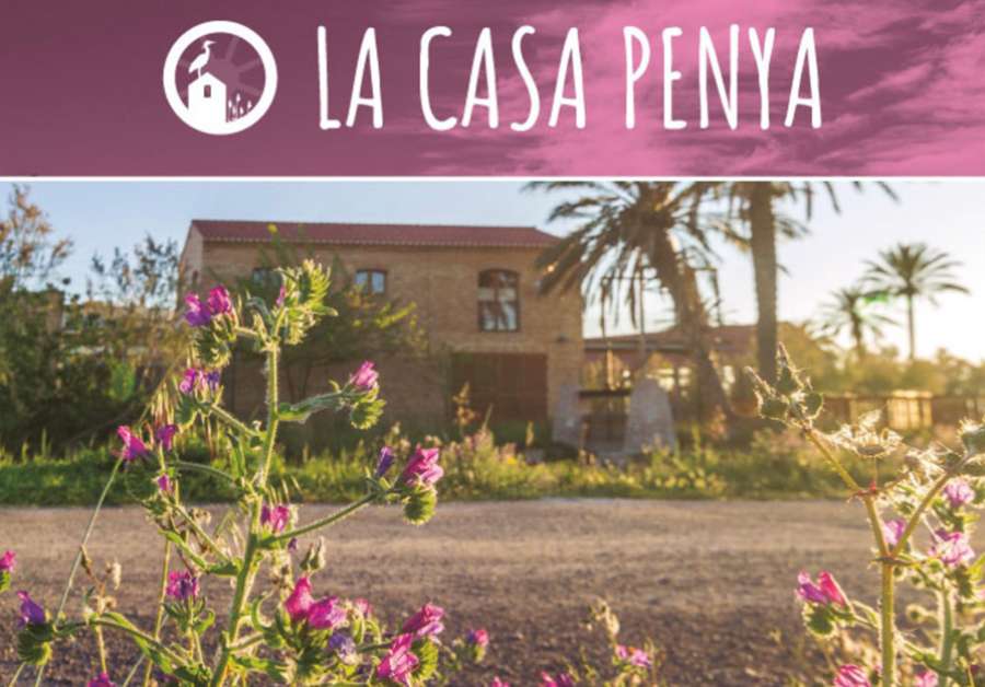El cultivo de malva-rosa en tierras de marjal es el protagonista de dos jornadas en La Casa Penya