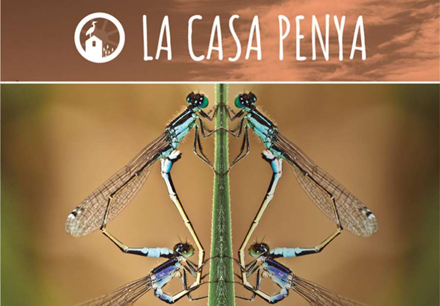 Otoño de aves, libélulas, cuentacuentos y música en La Casa Penya