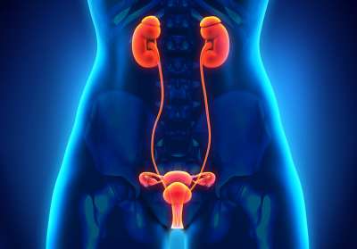 Tratar la estenosis de uretra es clave para evitar enfermedades en el riñón