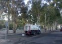 Los operarios de la SAG tratando los eucaliptus de esta calle de Puerto de Sagunto