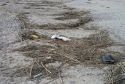 Compromís denuncia el «estado de abandono» de la playa de Almardà