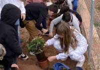 Benifairó organiza una nueva edición del Día del Árbol para los escolares del municipio