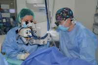 Fisabio-Oftalmología Médica hace 181 trasplantes de córnea en 2021
