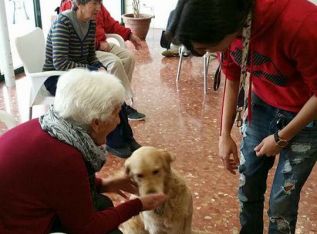 Canes de Élgar impulsa la terapia con perros para discapacitados y personas de la Tercera Edad