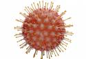 Recreación artística de un coronavirus (Imagen: Pixabay)