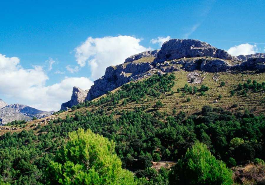 La Serra de Tramuntana contiene multitud de rutas para los amantes del senderismo(Foto: Giorgio Gatti)