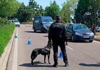 La Unidad Canina de la Policía Local de Sagunto impone más de 40 denuncias por consumo de estupefacientes este trimestre