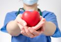 Los hospitales valencianos han realizado 558 trasplantes de órganos durante 2018
