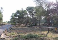 Iniciados los trabajos de prevención de incendios en diversas zonas forestales del término municipal de Sagunto