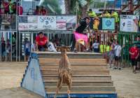 El aforo de los festejos taurinos de Puerto de Sagunto tampoco superará los 1.500 espectadores