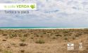La Colla Verda continúa con la repoblación de las dunas del litoral de Sagunto