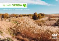 La Marjal dels Moros acoge una nueva jornada de voluntariado de la Colla Verda