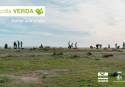 La Colla Verda realiza una nueva plantación de flora dunar en las Casas de Queralt